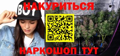 стаф Кулебаки